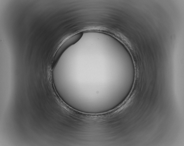 X0000116591369200912101322