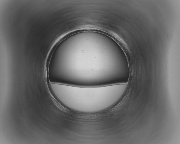 X0000116591372200912101322