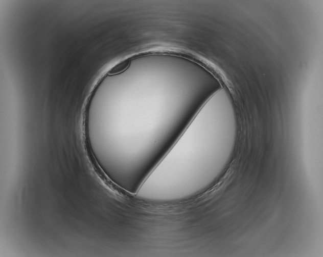 X0000116591375200912101322