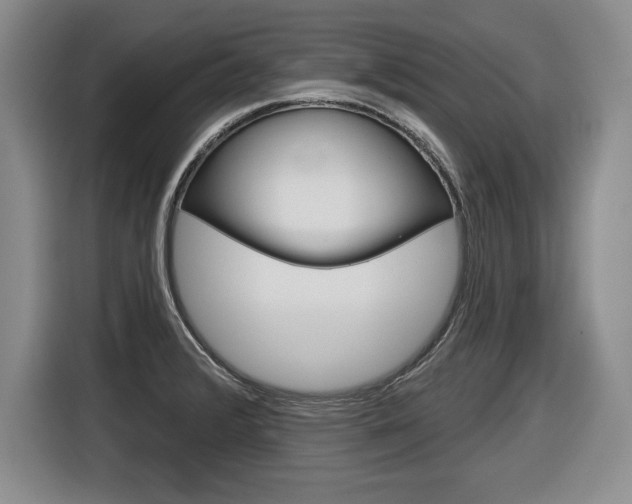 X0000116591376200912101322