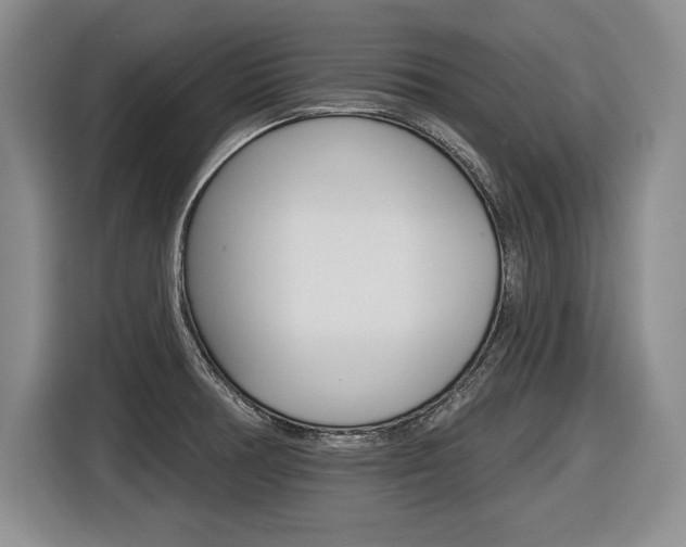 X0000116591378200912101322