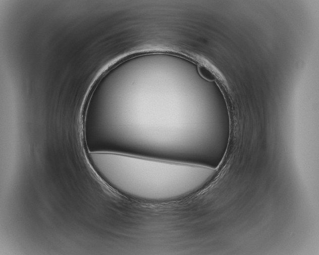 X0000116591380200912101322