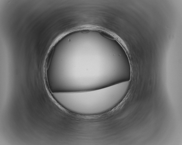 X0000116591381200912101322