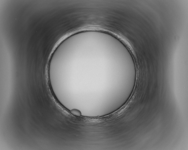 X0000116591382200912101322