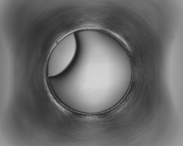 X0000116591383200912101322
