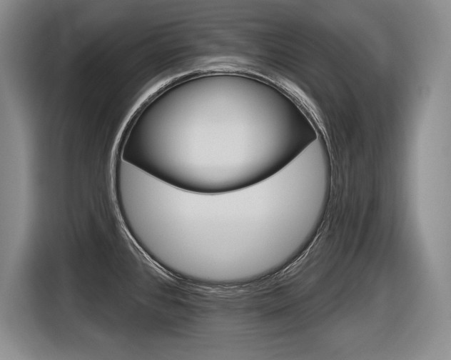 X0000116591384200912101322