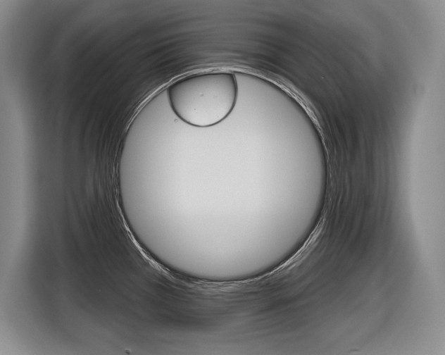 X0000116591385200912101322