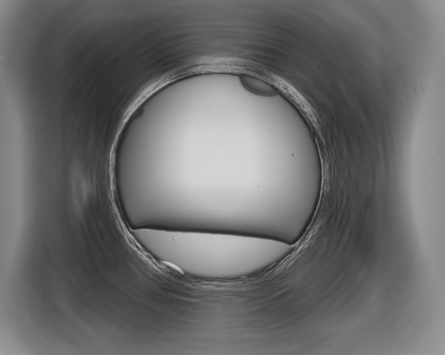 X0000116591386200912101322