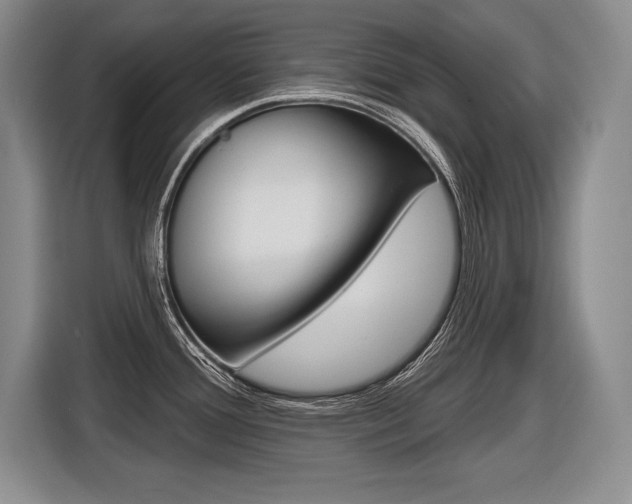 X0000116591388200912101322