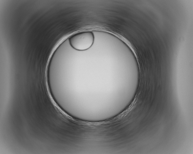 X0000116591389200912101322