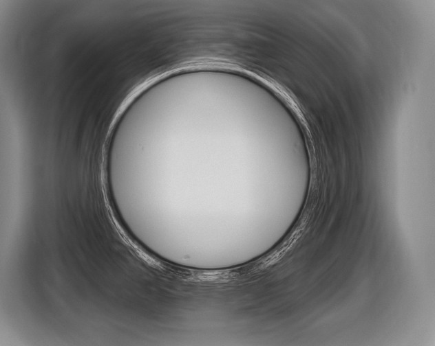X0000116591390200912101322