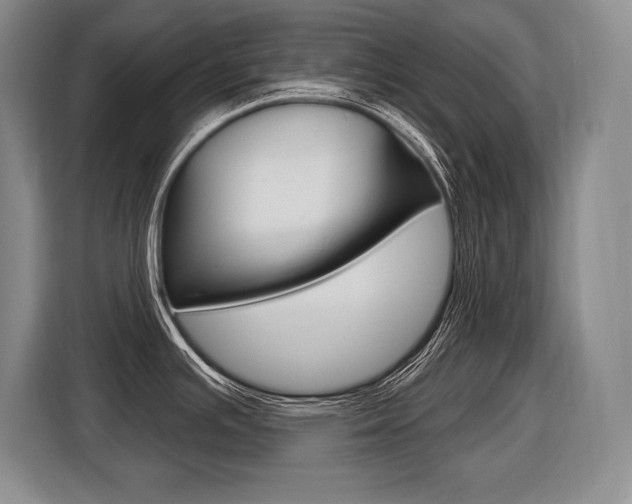 X0000116591391200912101322
