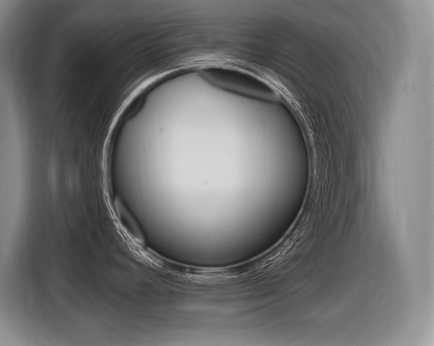 X0000116591392200912101322