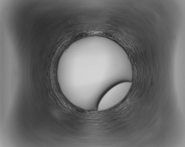 X0000116591393200912101321