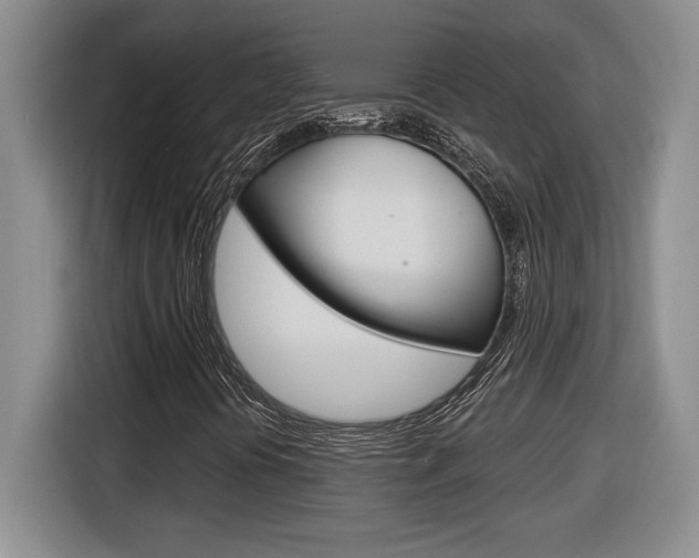X0000116591394200912101321