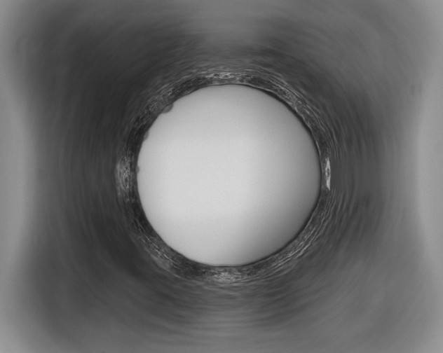X0000116591395200912101321