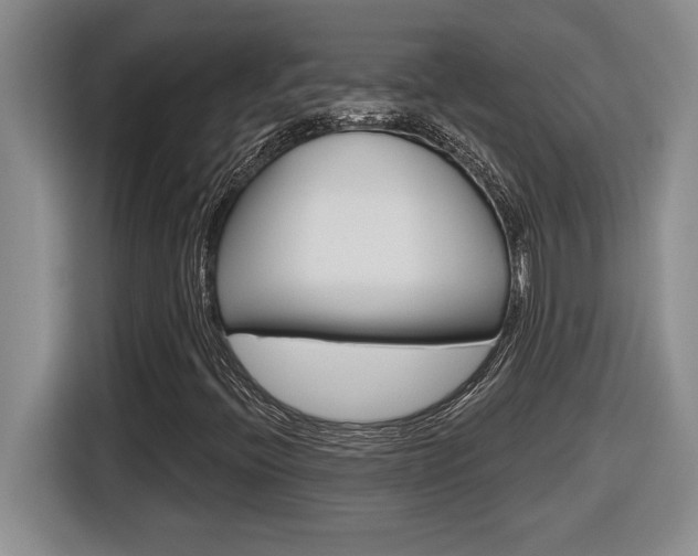 X0000116591396200912101321