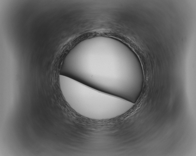 X0000116591398200912101321