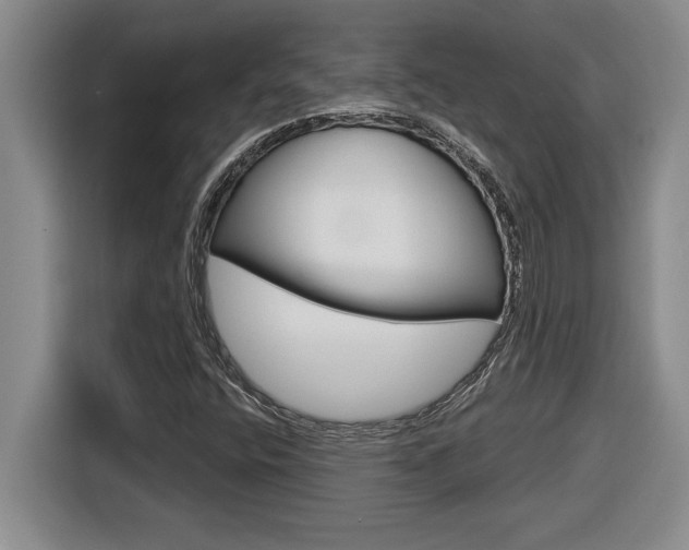 X0000116591400200912101322