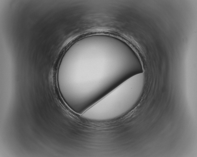 X0000116591404200912101322