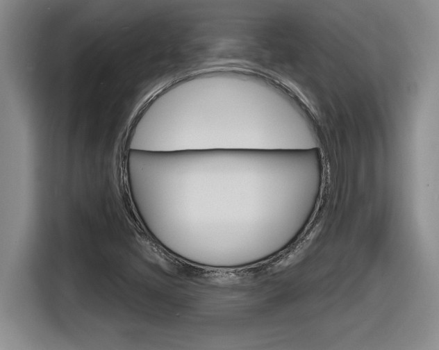 X0000116591405200912101322