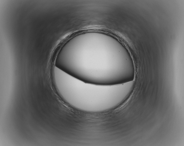 X0000116591406200912101322
