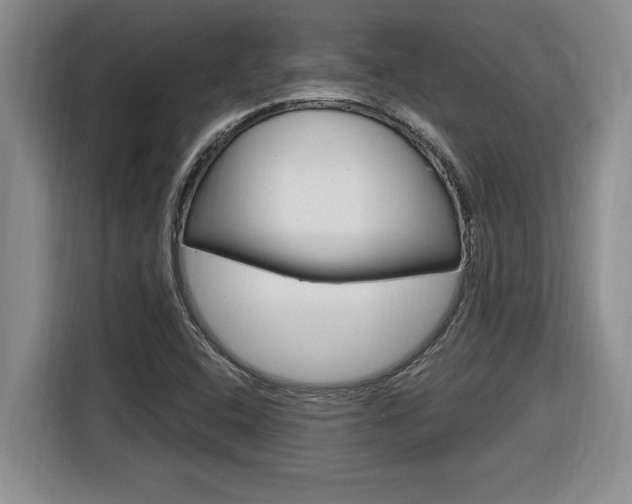 X0000116591408200912101322