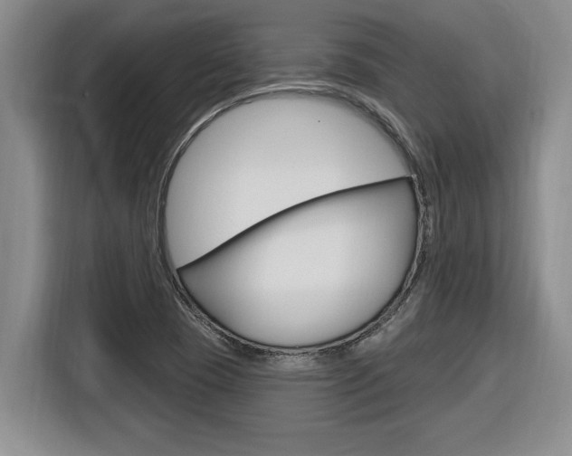 X0000116591409200912101322