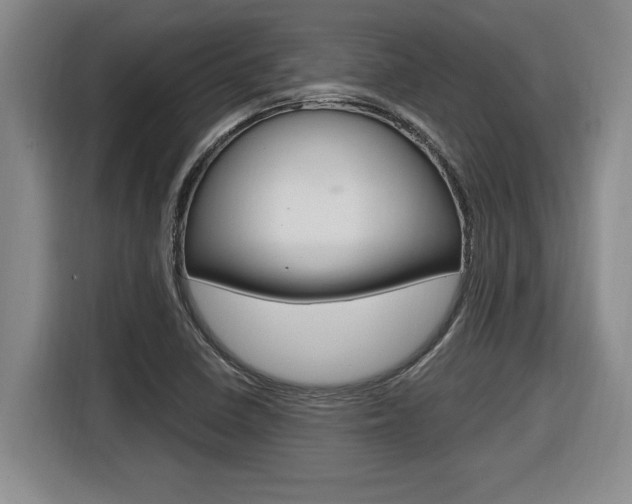 X0000116591410200912101322