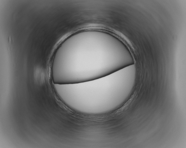 X0000116591413200912101322