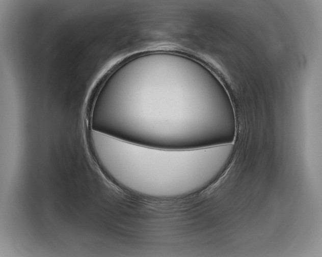 X0000116591414200912101322