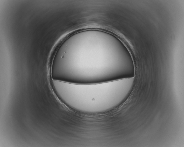X0000116591416200912101322