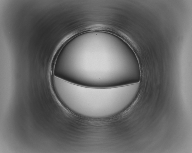 X0000116591418200912101322