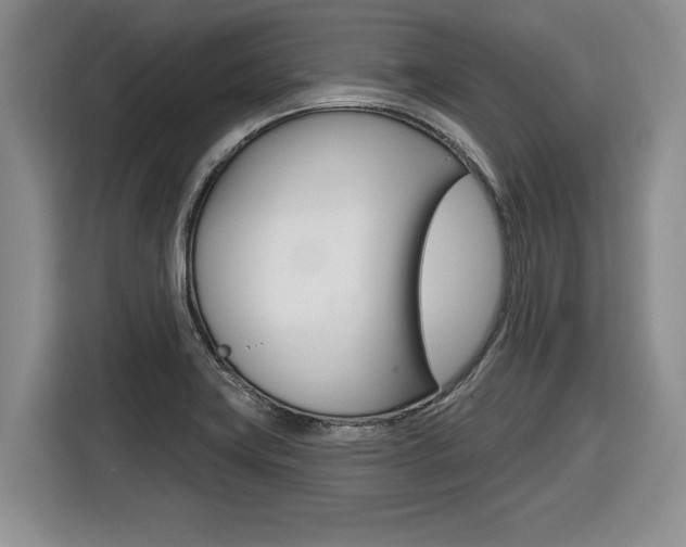 X0000116591419200912101322