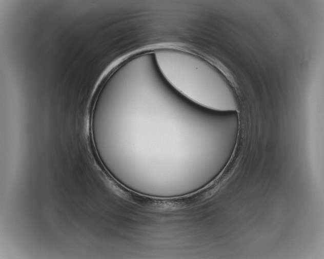 X0000116591420200912101322