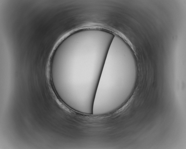 X0000116591421200912101322