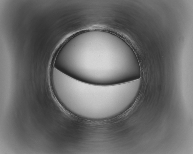 X0000116591422200912101322