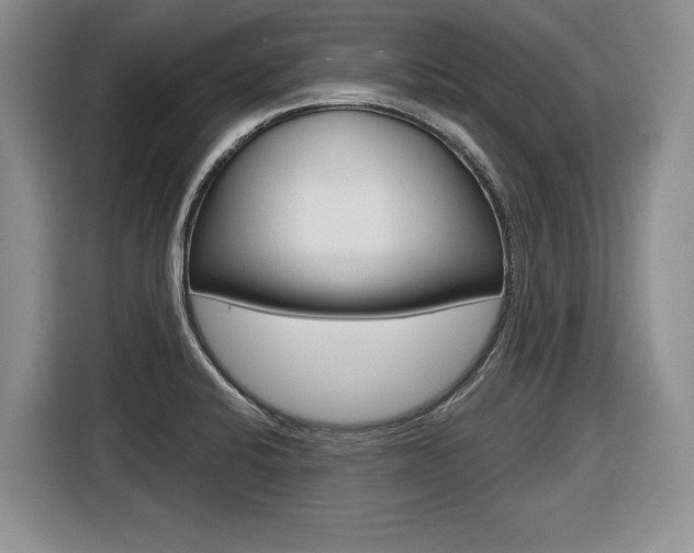 X0000116591424200912101322