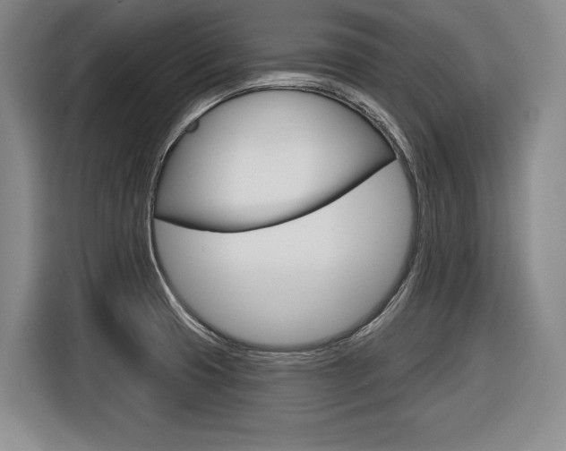 X0000116591425200912101322