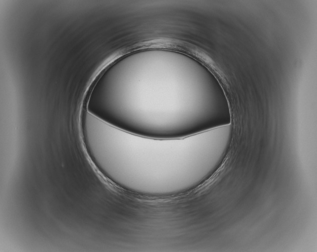 X0000116591426200912101322