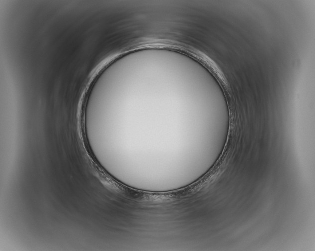 X0000116591427200912101322