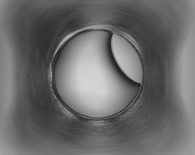 X0000116591428200912101322