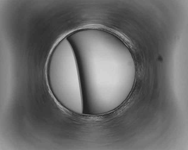 X0000116591430200912101322