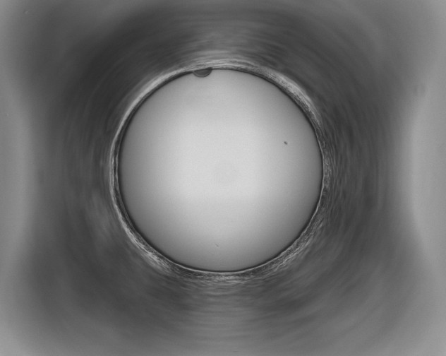 X0000116591431200912101322