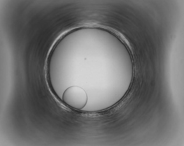 X0000116591432200912101322