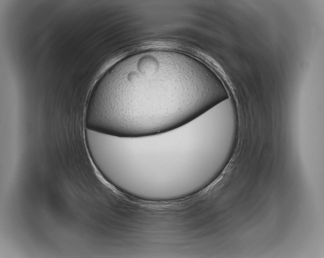 X0000116591433200912101322