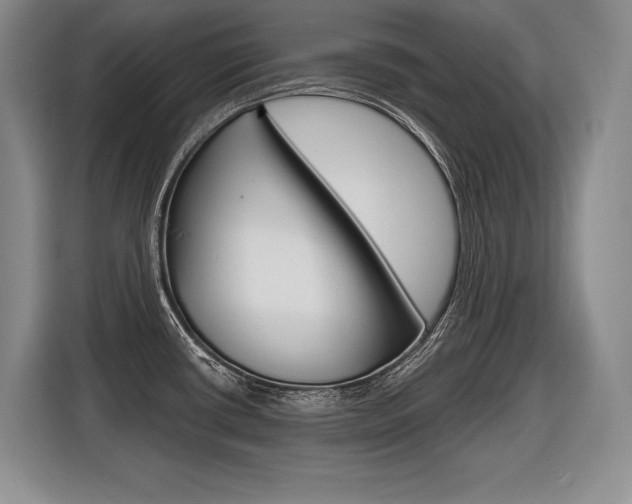 X0000116591434200912101322