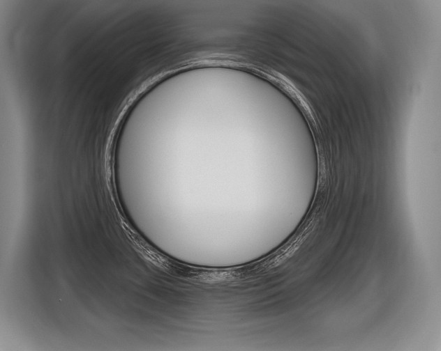 X0000116591435200912101322
