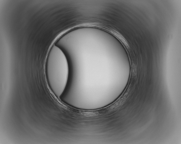 X0000116591436200912101322