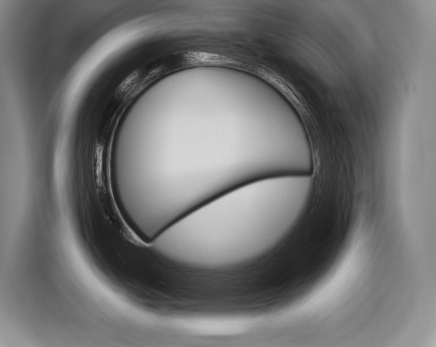 X0000116591439200912101322